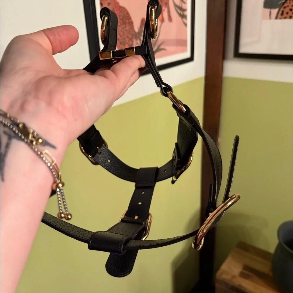 Gucci NWOT Demetra leather Black  Harness with Gold Accents